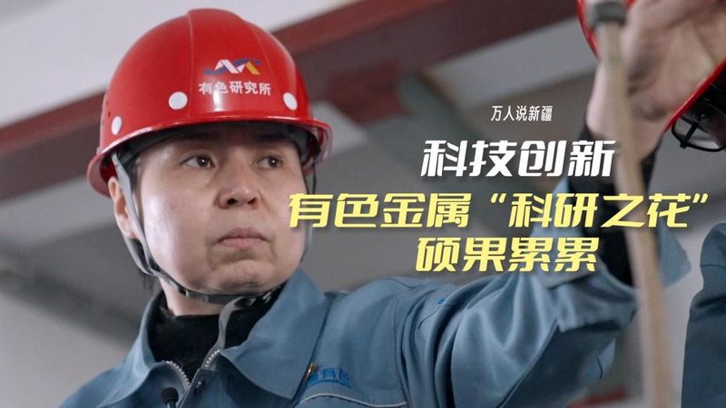 自研与外包：产品迭代速度的较量